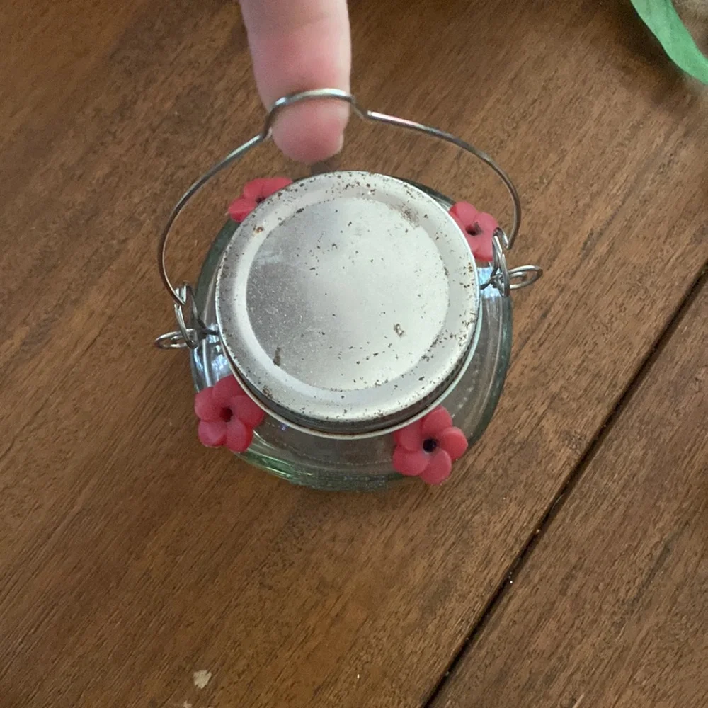 ☀️Baby Hummingbird Feeder